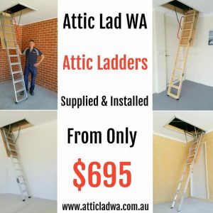 Attic Storage 